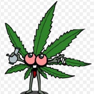 Meet your Posher, Caleb